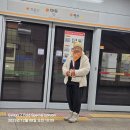 평화누리길과 덕양산(125m) 2025년12월8일(月). 4,505회 산행. 이미지