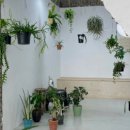 벌말로185번길 이미지