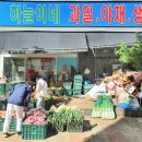 상동야채