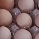 포유농장 이미지