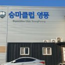 승마클럽 영풍 네이버블로그