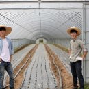 청송산업㈜ 이미지