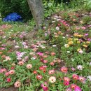 구산근린공원 이미지