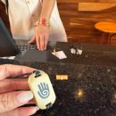 스윗가든 | 신혼여행Ep.16 칸쿤 스칼렛아르떼 일반동 스윗가든 후기