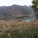 차산 마을회관 이미지