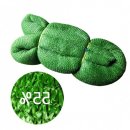 녹색세차장 이미지