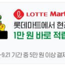 롯데마트문화비 이미지