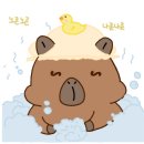 제이리헤어 - 중구 | 제이리헤어