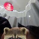 성심한의원 | 홍천 병원 성심 한의원 편두통 진료 후기