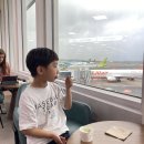 활주로공원 | 제주공항 비행기 활주로 전망 카페 폴바셋 + 꿀팁