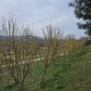 리버12펜션 이미지