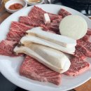 산청감나무집