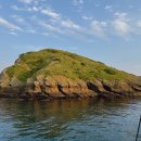 제주다와 이미지