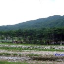 장풍숲위 이미지