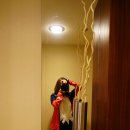 골든게이트 | 샌프란시스코 5일차, 그랜드 하얏트/페인티드 레이디스/골든게이트파크/팰리스 오브 파인아트