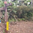 태석농장 이미지