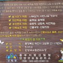 제천 솔솔솔다람쥐숲 방문했다 돌아선 후기