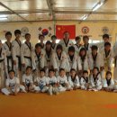 금메달 태권도 이미지