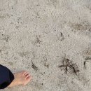 구공설운동장 이미지