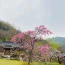 도화 민박 이미지