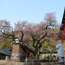 우리나라행정사무소 이미지