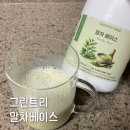 그린홈 | 활용도 좋은 홈카페 필수템 그린트리 말차베이스 후기