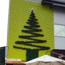 포레스트12 이미지