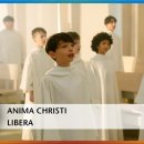 Anima Christi - Libera | Songs of Praise(리베라 소년합창단) 이미지