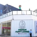 대구애견 이미지