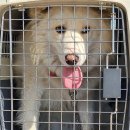 죽교동행정복지센터 이미지