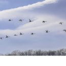 경안천 4 이미지