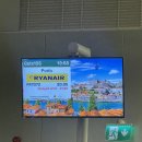 25.01.10~13 포르투, 리스본 3박 4일 #1 (볼량 시장 굴, 비뉴 베르드, 포르투 도보여행)