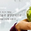 (주)큐알티반도체 - 2012년 큐알티반도체(Hynix 자회사) 하반기 신입사원 공개 채용 이미지