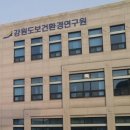 수식품