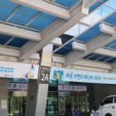 푸치토야 이미지