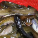 시골황토매운탕 이미지