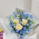 푸른나라꽃나라 이미지