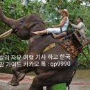 바카스 이미지