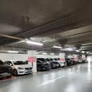 소로2-가양80 | 가양역 미용실 큐알맨즈헤어 남자 커트+다운펌 솔직 후기