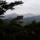 정진사 이미지