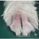 참고은약국 이미지