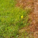 해들목1 이미지