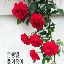 행복한날 이미지