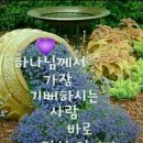 샬롬 Daum카페