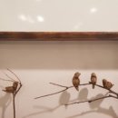 참새 다락방 이미지