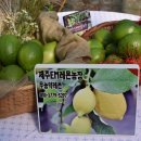 해피그린농장 이미지