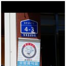 춘천닭갈비 이미지