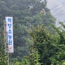 하방소 포레스트 이미지