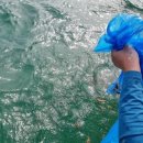 남울진농업 협동조합 이미지