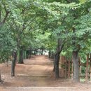 영장공원 이미지